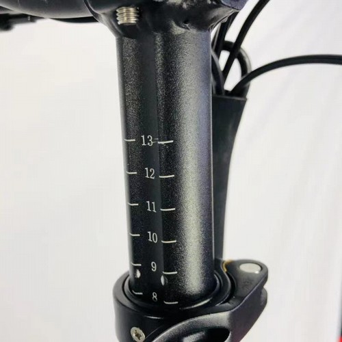 ������� ������� ����� ��� 48 ���� 15.6 ���� GreenBike Big Dog Cross