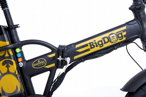 ������� ������� ����� ���� ���� ���� 48 ���� 16 ���� GreenBike Big Dog