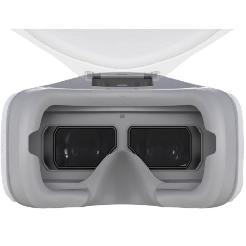 ������� ����� DJI Goggles