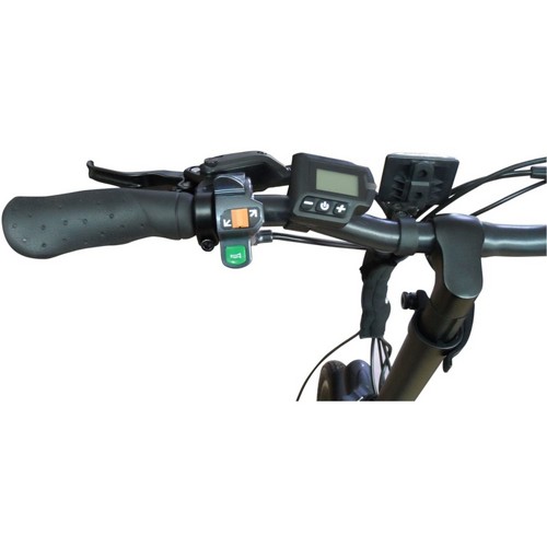 ������� ������� �� ���� �������� ���� ����� 48 Shikko Dragon