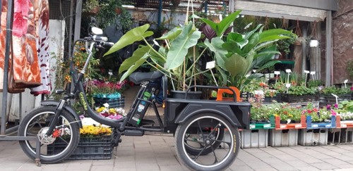 ��� ���� ����� ���� ���� 48 ���� GreenBike
