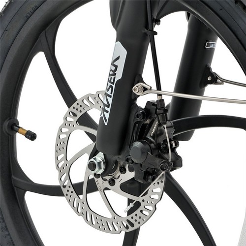 ������� ������� 48 ���� 10 ���� Smart Bike Uforce Plus