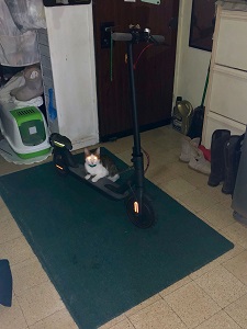 ������� Xiaomi